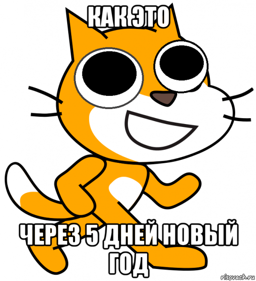 как это через 5 дней новый год, Мем Кот арот