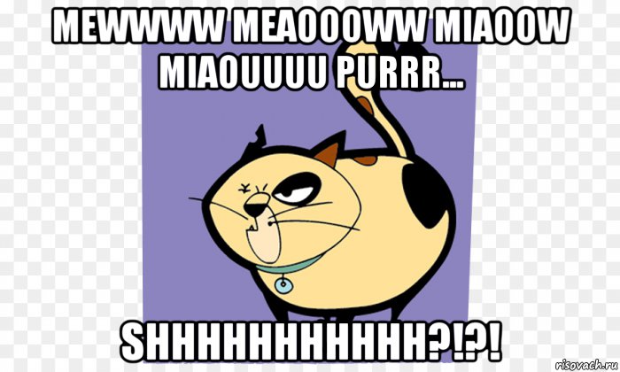 mewwww meaoooww miaoow miaouuuu purrr... shhhhhhhhhhh?!?!