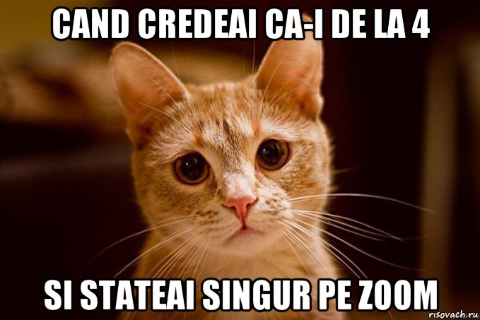 cand credeai ca-i de la 4 si stateai singur pe zoom