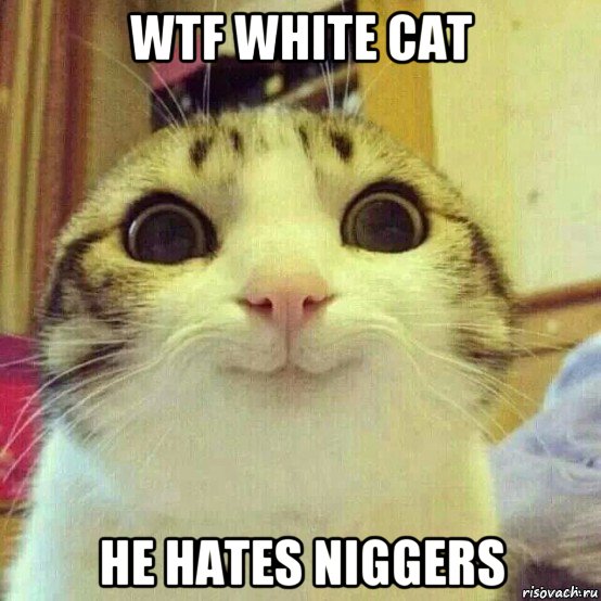 wtf white cat he hates niggers, Мем       Котяка-улыбака