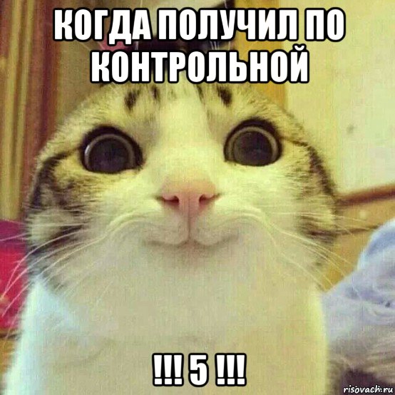 когда получил по контрольной !!! 5 !!!, Мем       Котяка-улыбака