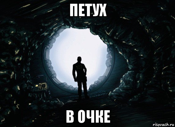 петух в очке, Мем Квестичек