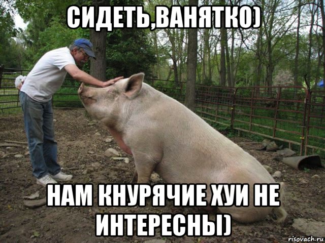 сидеть,ванятко) нам кнурячие хуи не интересны), Мем Люк Татуин не всё в жизни