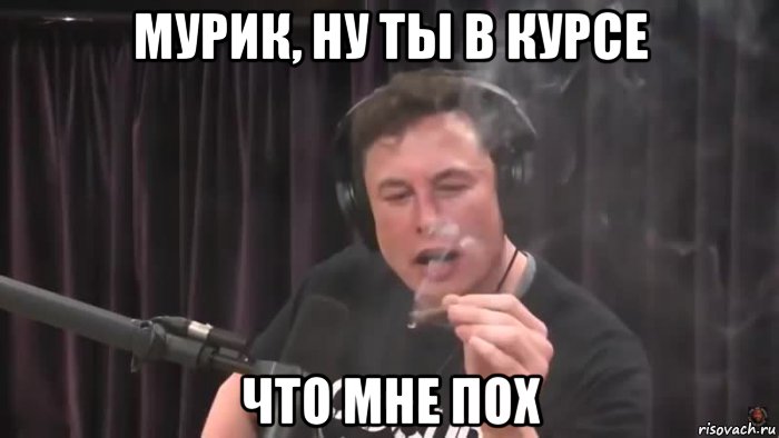 мурик, ну ты в курсе что мне пох, Мем Маск