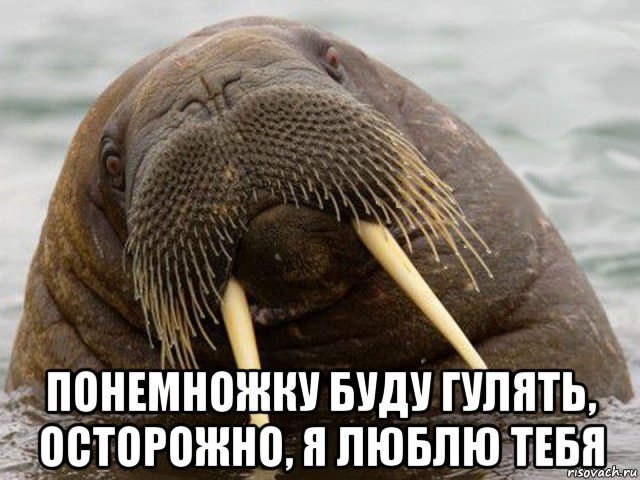  понемножку буду гулять, осторожно, я люблю тебя