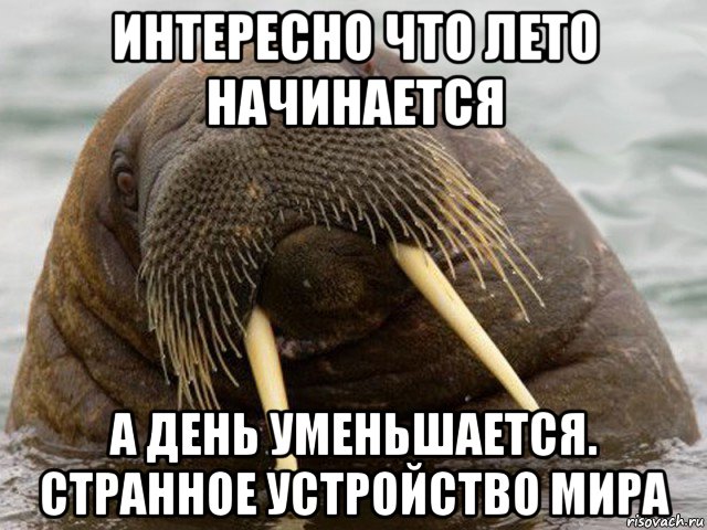 интересно что лето начинается а день уменьшается. странное устройство мира