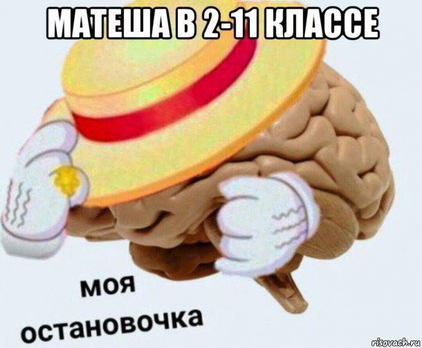 матеша в 2-11 классе 