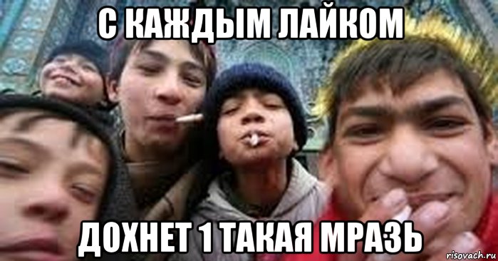 с каждым лайком дохнет 1 такая мразь, Мем МРази