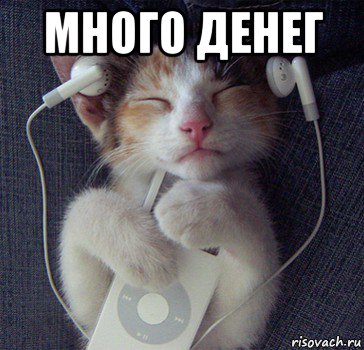 много денег 