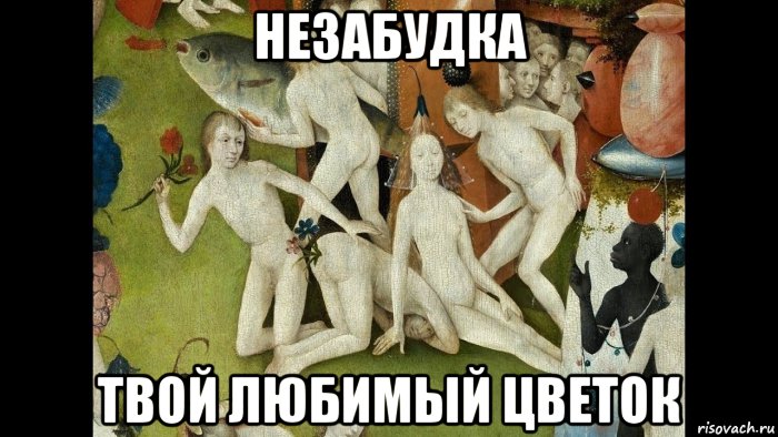 незабудка твой любимый цветок, Мем Незабудка твой любимый цветок