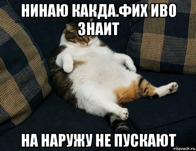 нинаю какда.фих иво знаит на наружу не пускают, Мем Обожравшийся кот