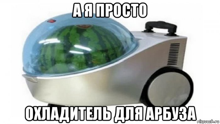 а я просто охладитель для арбуза, Мем Охладитель для арбуза