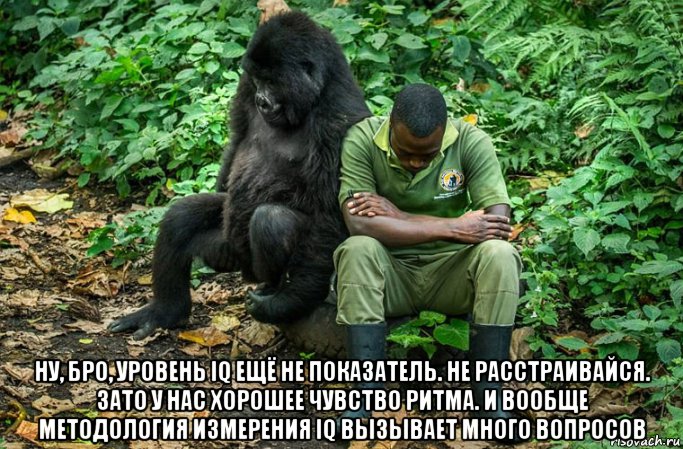  ну, бро, уровень iq ещё не показатель. не расстраивайся. зато у нас хорошее чувство ритма. и вообще методология измерения iq вызывает много вопросов, Мем Печаль