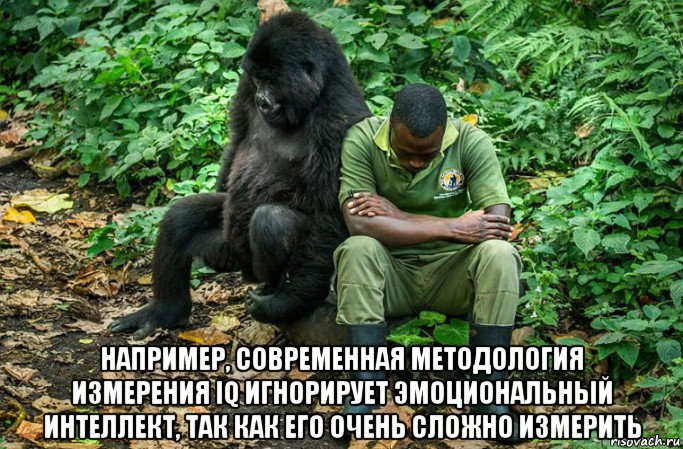  например, современная методология измерения iq игнорирует эмоциональный интеллект, так как его очень сложно измерить, Мем Печаль