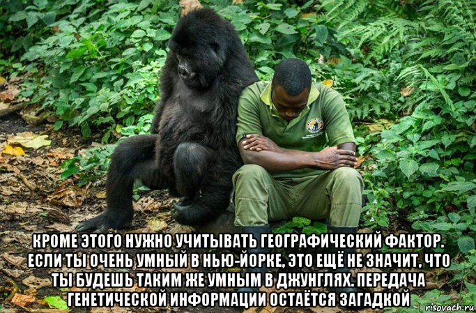  кроме этого нужно учитывать географический фактор. если ты очень умный в нью-йорке, это ещё не значит, что ты будешь таким же умным в джунглях. передача генетической информации остаётся загадкой, Мем Печаль
