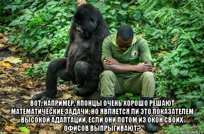  вот, например, японцы очень хорошо решают математические задачи, но является ли это показателем высокой адаптации, если они потом из окон своих офисов выпрыгивают?, Мем Печаль