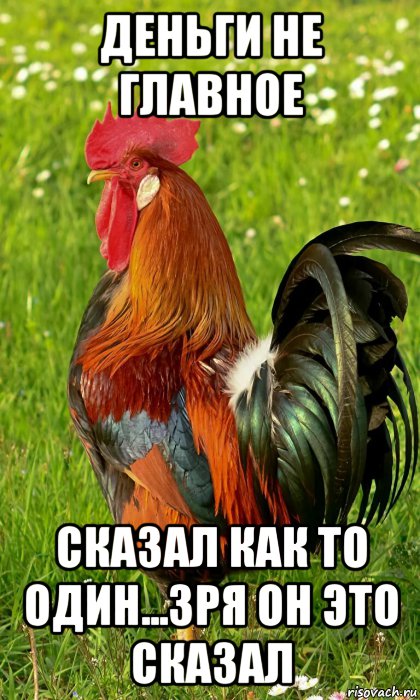деньги не главное сказал как то один...зря он это сказал, Мем Петух