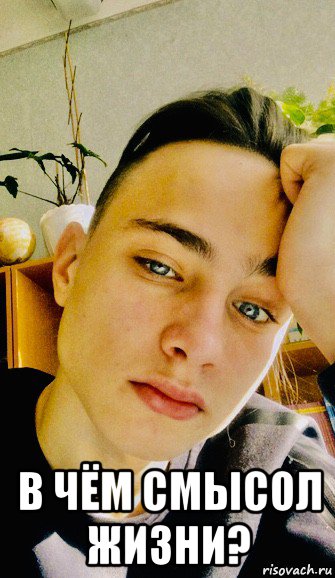  в чём смысол жизни?, Мем Пидорасик
