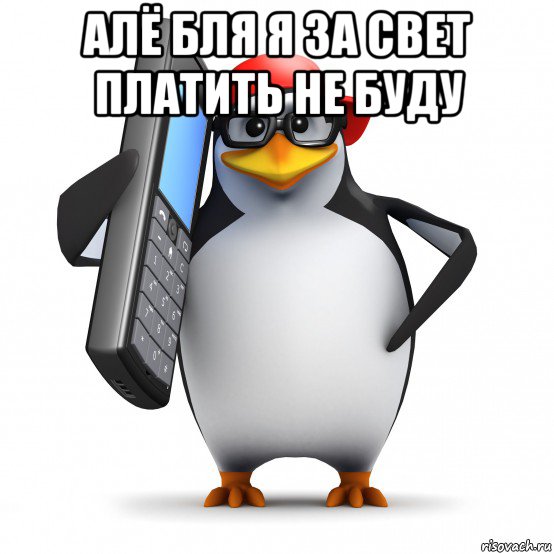 алё бля я за свет платить не буду , Мем   Пингвин звонит