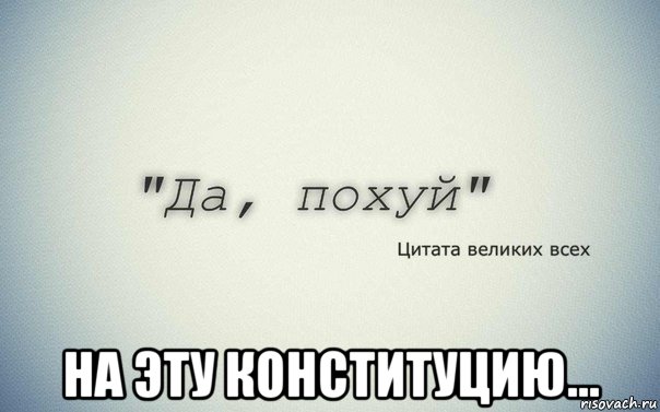  на эту конституцию..., Мем Похуй