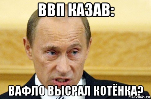 ввп казав: вафло высрал котёнка?, Мем путин