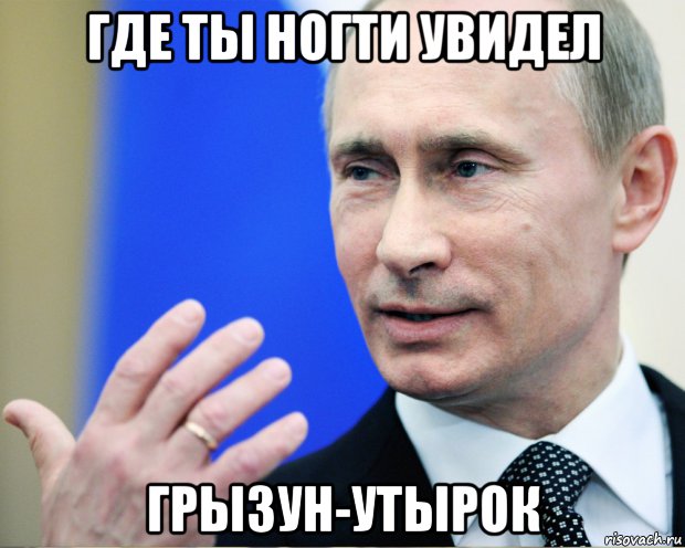 где ты ногти увидел грызун-утырок, Мем Путин