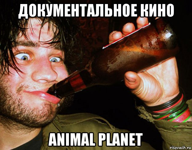 документальное кино animal planet, Мем Пьяное животное