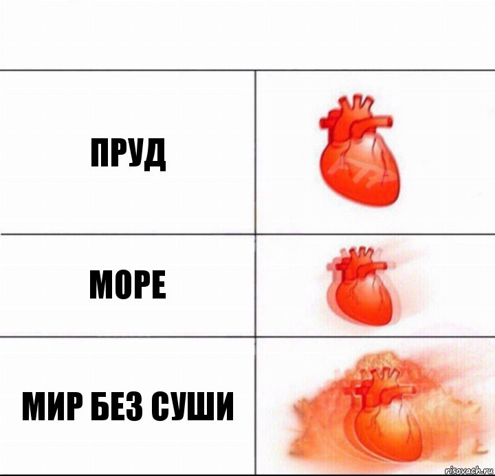 Пруд Море Мир без суши