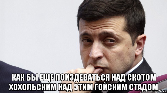  как бы еще поиздеваться над скотом хохольским над этим гойским стадом, Мем Ростов не резиновый