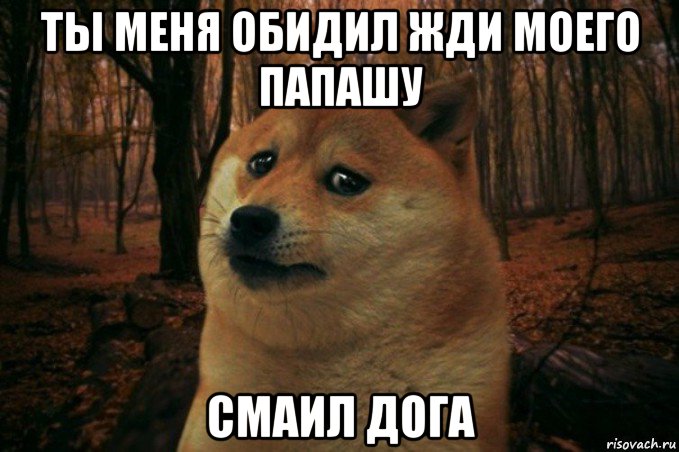 ты меня обидил жди моего папашу смаил дога, Мем SAD DOGE