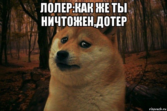 лолер:как же ты ничтожен,дотер , Мем SAD DOGE