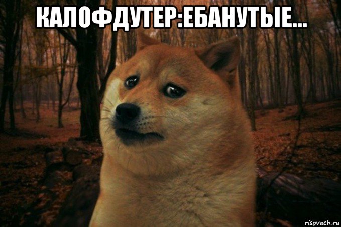 калофдутер:ебанутые... , Мем SAD DOGE