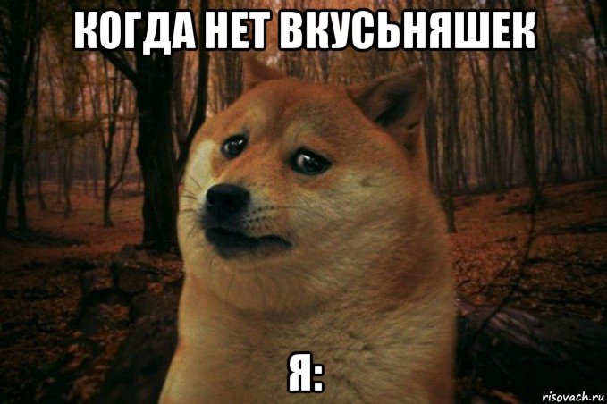 когда нет вкусьняшек я:, Мем SAD DOGE