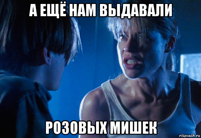 а ещё нам выдавали розовых мишек, Мем Сара Коннор