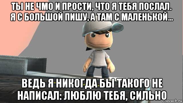 ты не чмо и прости, что я тебя послал. я с большой пишу, а там с маленькой... ведь я никогда бы такого не написал: люблю тебя, сильно, Мем Саша