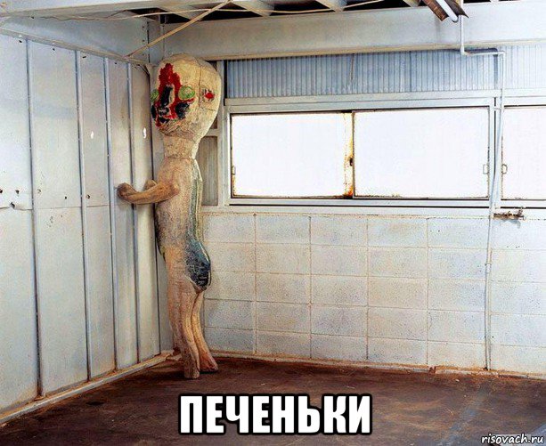  печеньки