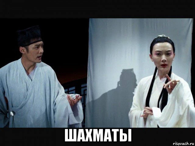  шахматы