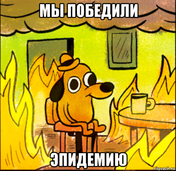 мы победили эпидемию, Мем СОБАКА В ОГНЕ