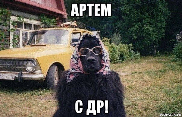 артем с др!