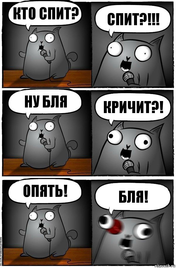 Кто спит? Спит?!!! Ну бля Кричит?! Опять! Бля!, Комикс  Стендап-кот