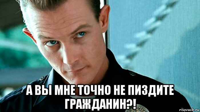  а вы мне точно не пиздите гражданин?!, Мем T-1000
