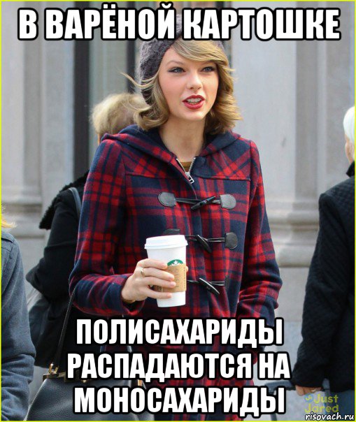 в варёной картошке полисахариды распадаются на моносахариды, Мем Taylor Swift