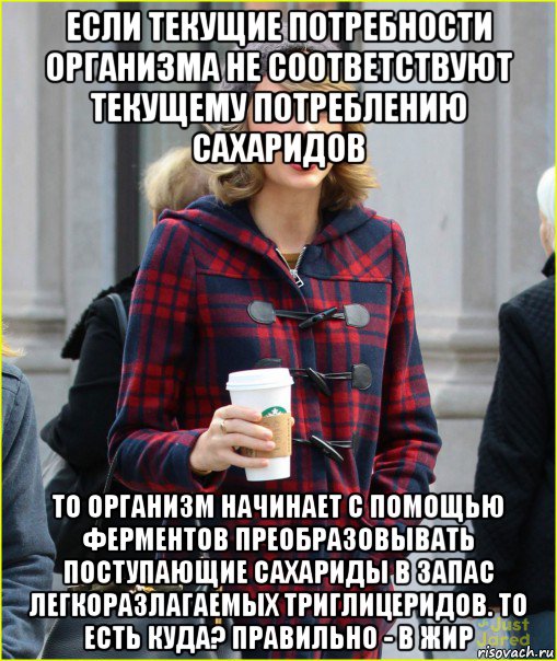 если текущие потребности организма не соответствуют текущему потреблению сахаридов то организм начинает с помощью ферментов преобразовывать поступающие сахариды в запас легкоразлагаемых триглицеридов. то есть куда? правильно - в жир