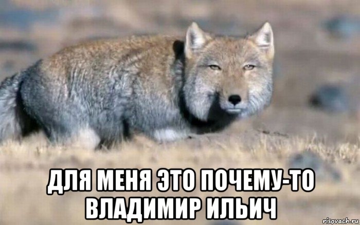  для меня это почему-то владимир ильич