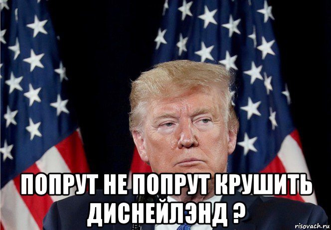  попрут не попрут крушить диснейлэнд ?, Мем Трамп