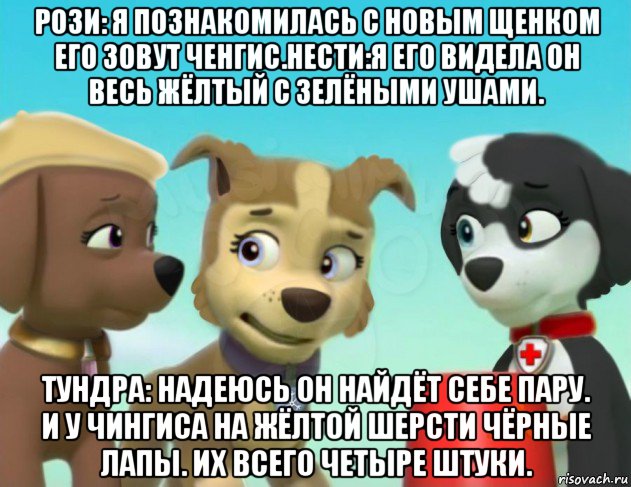 рози: я познакомилась с новым щенком его зовут ченгис.нести:я его видела он весь жёлтый с зелёными ушами. тундра: надеюсь он найдёт себе пару. и у чингиса на жёлтой шерсти чёрные лапы. их всего четыре штуки., Мем Тундра Рози и Нести щенячий патруль драма