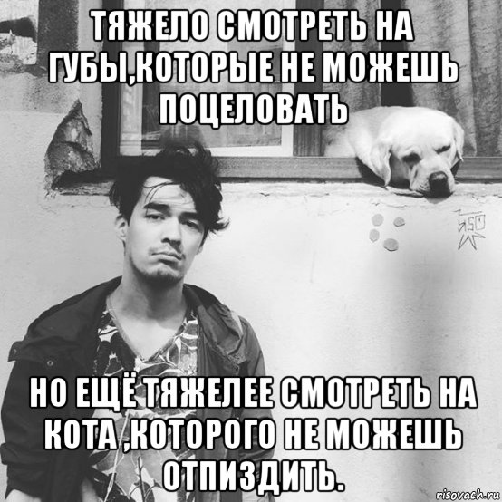тяжело смотреть на губы,которые не можешь поцеловать но ещё тяжелее смотреть на кота ,которого не можешь отпиздить., Мем Тяжело