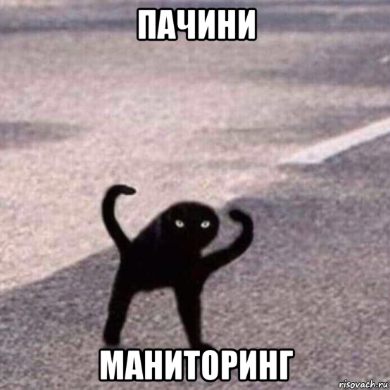 пачини маниторинг