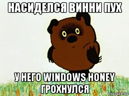 насиделся винни пух у него windows honey грохнулся