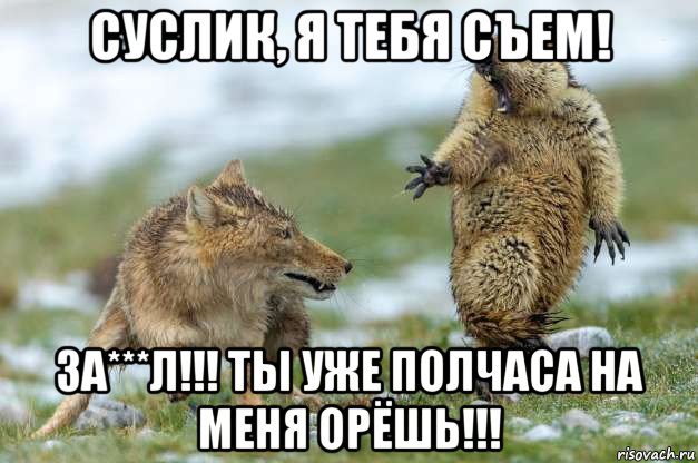 суслик, я тебя съем! за***л!!! ты уже полчаса на меня орёшь!!!, Мем Волк и суслик